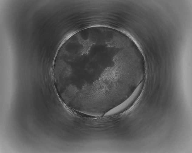 X0000116121145200911301322