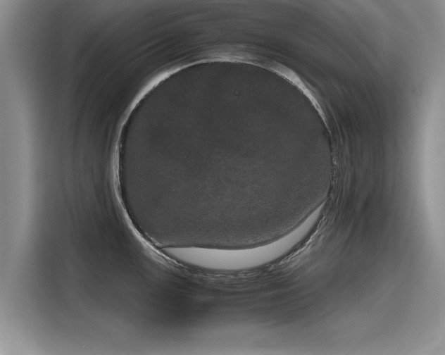 X0000116121147200911301322