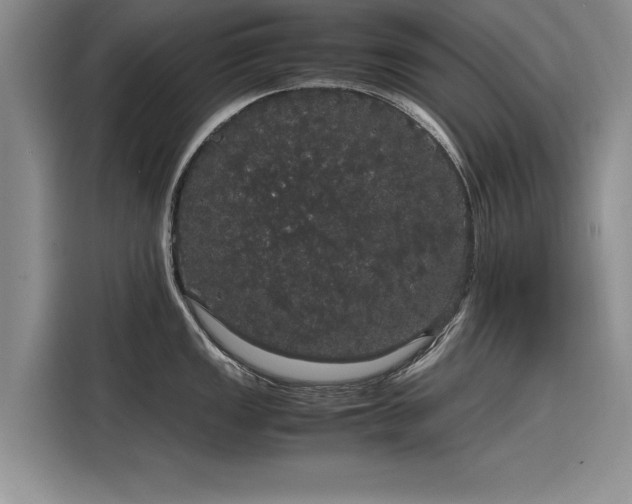 X0000116121149200911301322