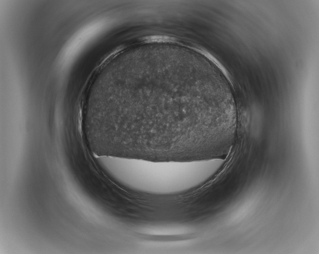 X0000116121151200911301322