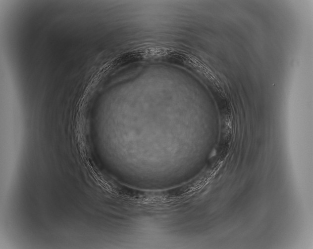 X0000116121153200911301321