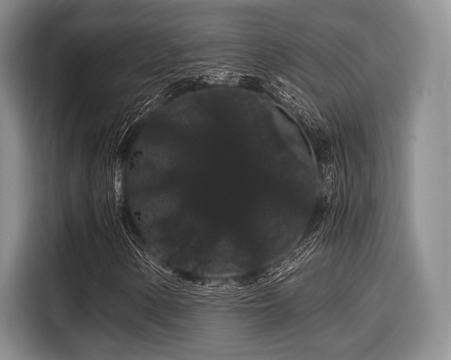 X0000116121154200911301321