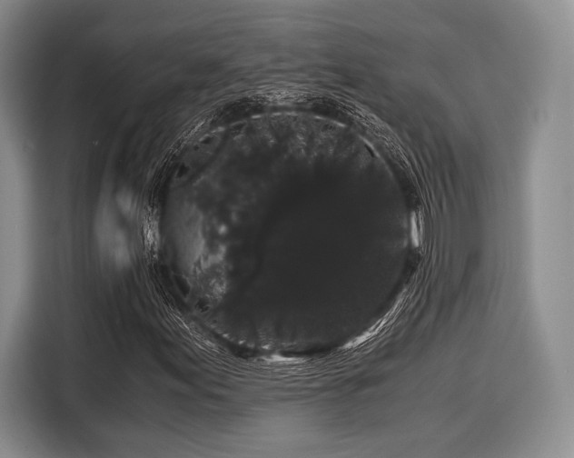 X0000116121155200911301321