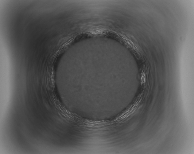 X0000116121156200911301321