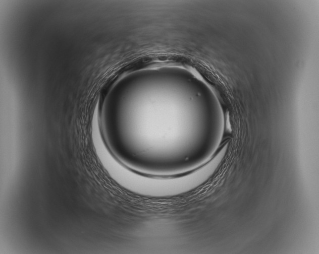 X0000116121157200911301321