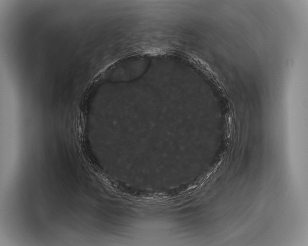 X0000116121158200911301321