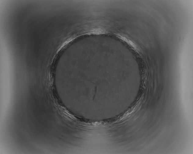 X0000116121160200911301321