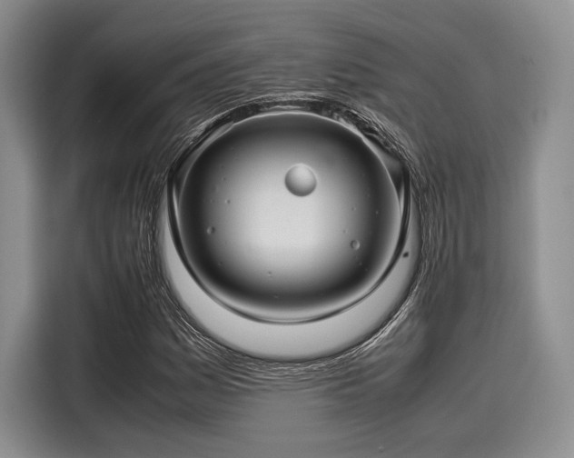 X0000116121161200911301321