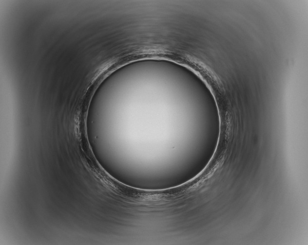 X0000116121162200911301321