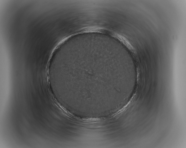 X0000116121164200911301321