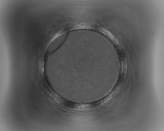 X0000116121165200911301321