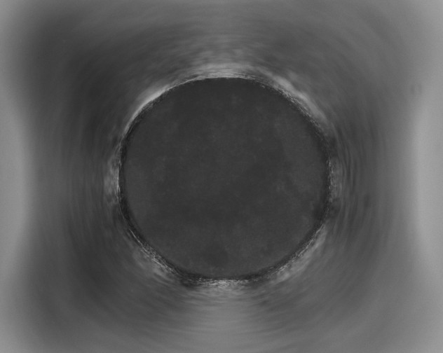 X0000116121166200911301321