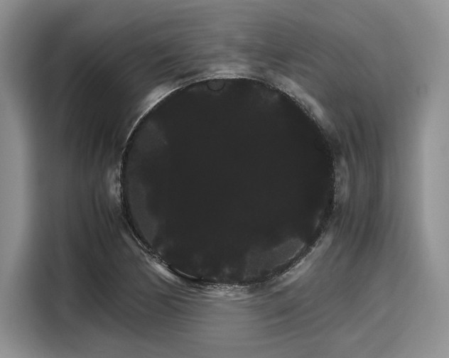 X0000116121170200911301321