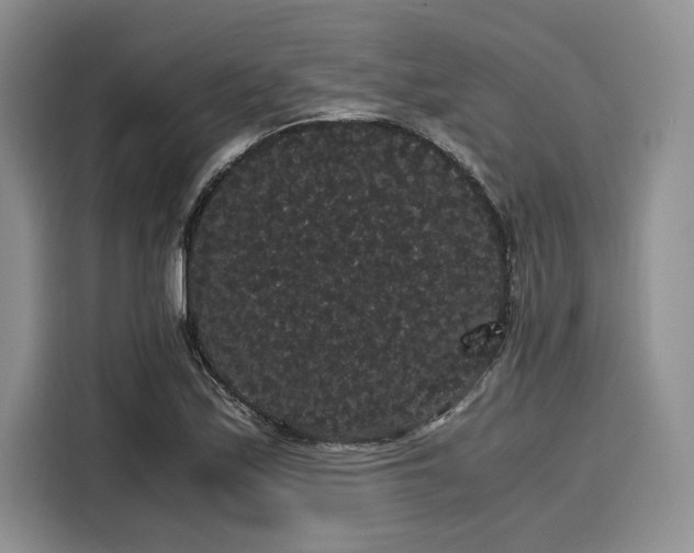 X0000116121171200911301321