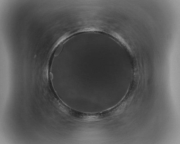 X0000116121173200911301321