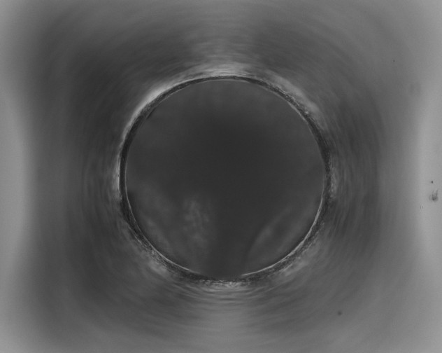 X0000116121174200911301321