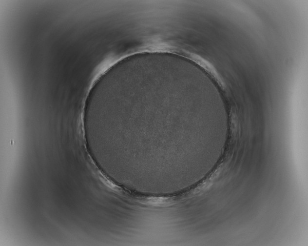 X0000116121176200911301321