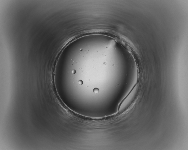 X0000116121177200911301321