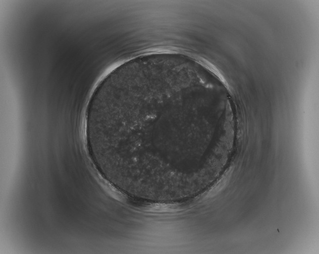 X0000116121179200911301321