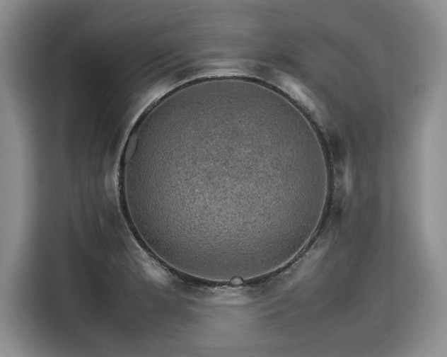 X0000116121181200911301321