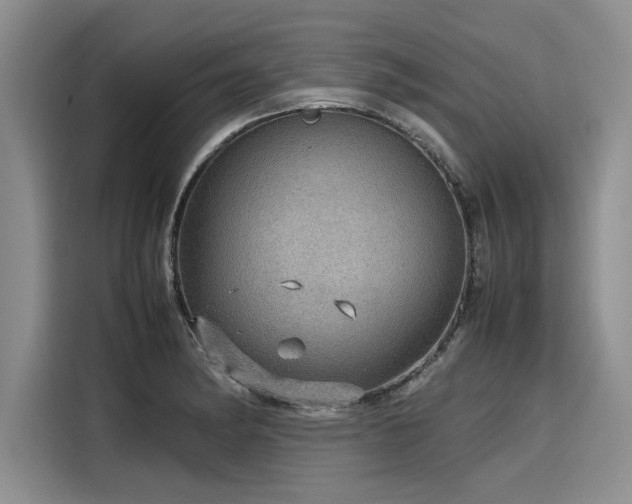 X0000116121182200911301321