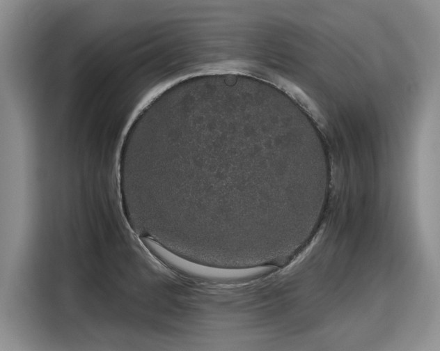 X0000116121184200911301321