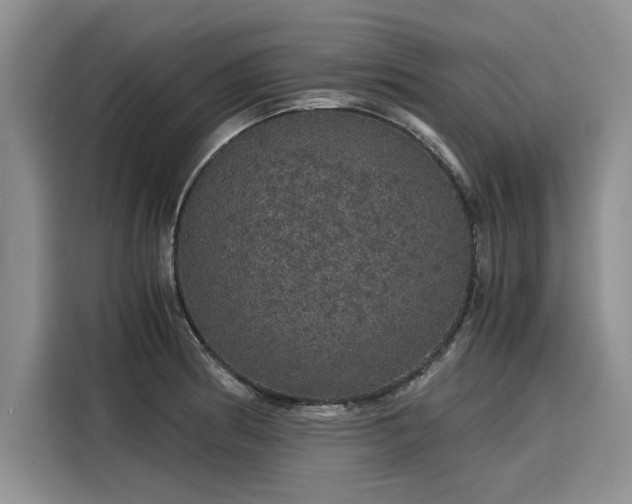 X0000116121186200911301321