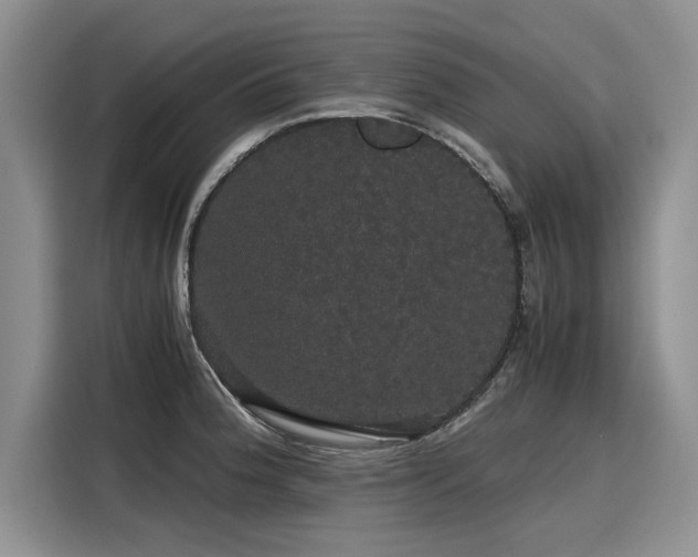 X0000116121188200911301321