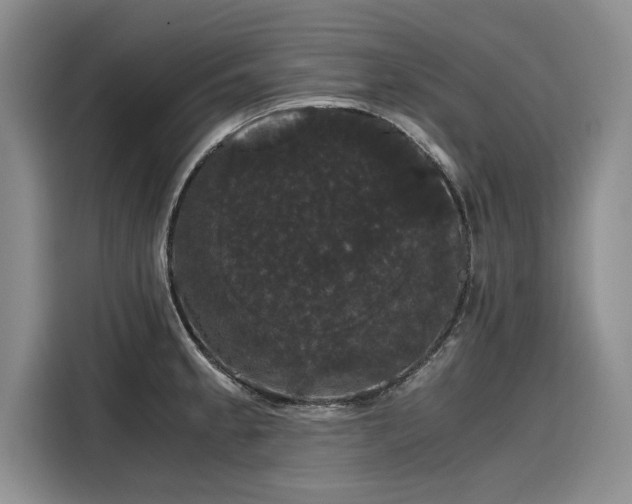 X0000116121189200911301321