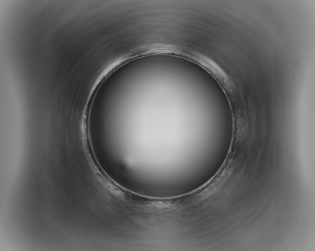 X0000116121190200911301321