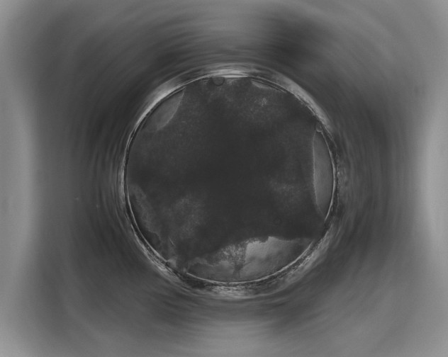 X0000116121194200911301321