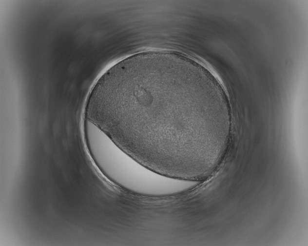 X0000116121195200911301321