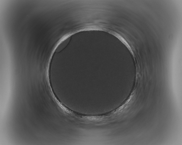 X0000116121197200911301321