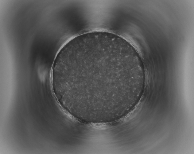 X0000116121198200911301321