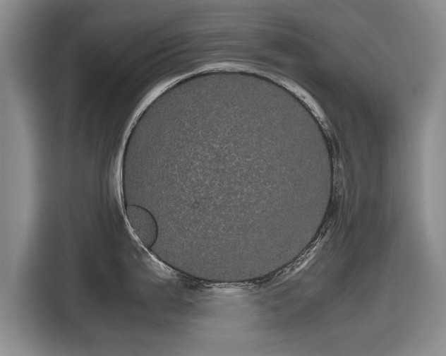 X0000116121199200911301321