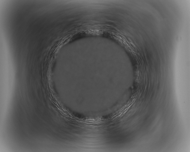 X0000116121201200911301320