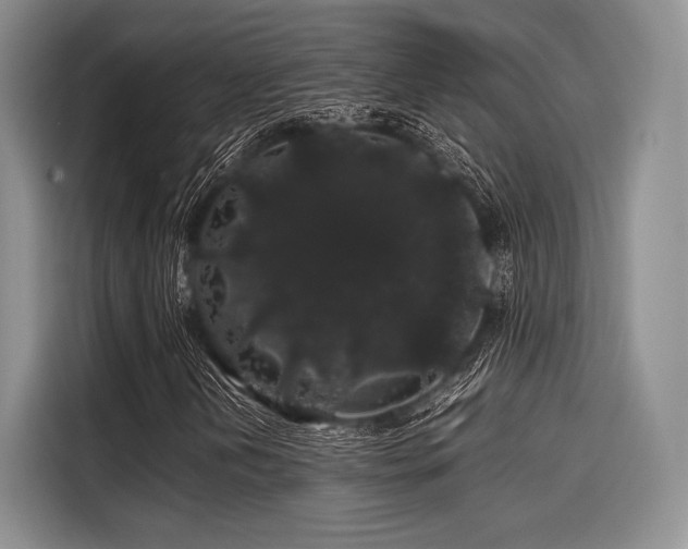 X0000116121202200911301320