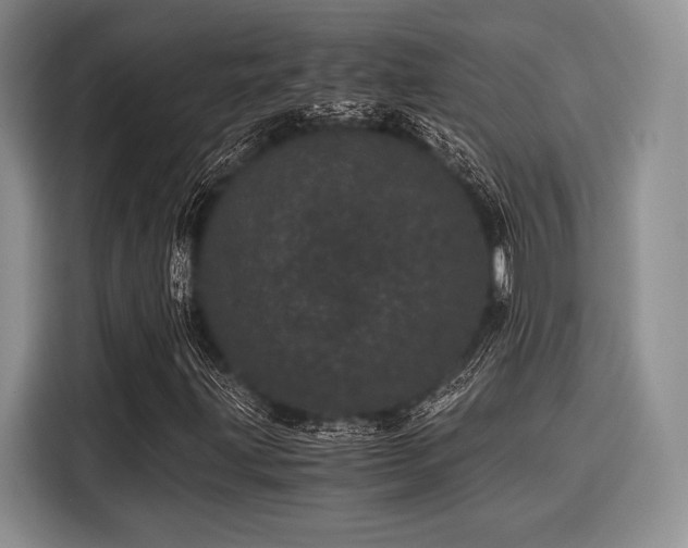 X0000116121203200911301320