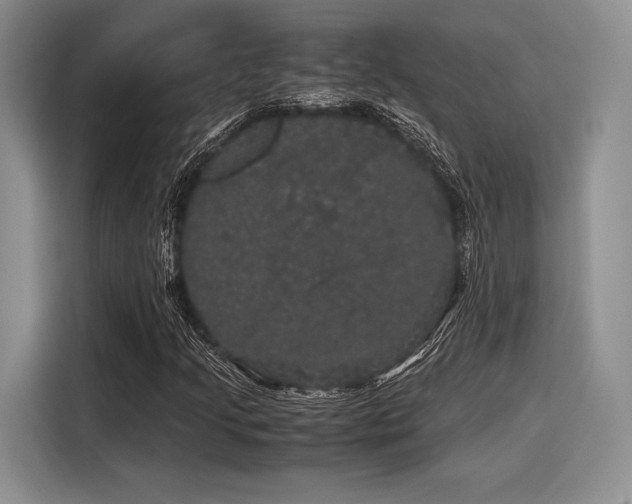 X0000116121205200911301320