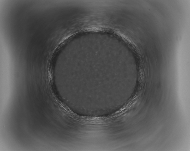 X0000116121206200911301320