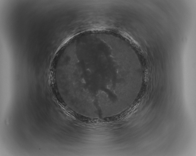 X0000116121208200911301320