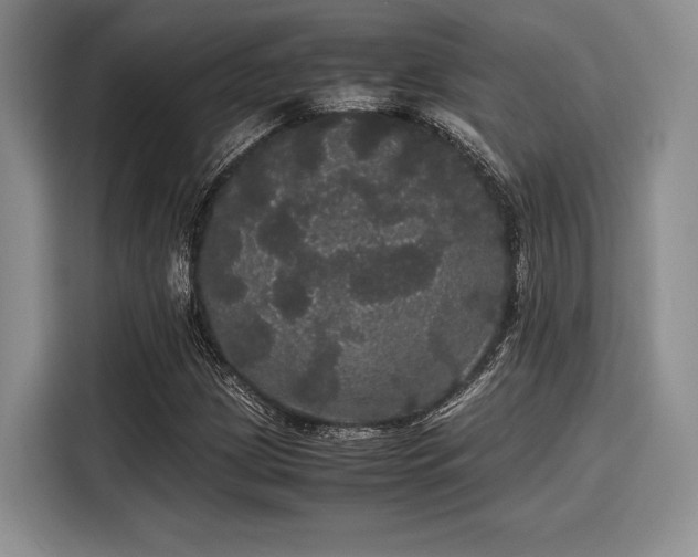 X0000116121209200911301320