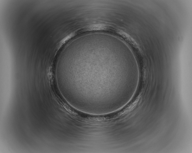 X0000116121210200911301320