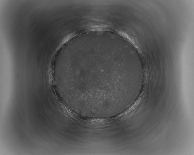 X0000116121211200911301320