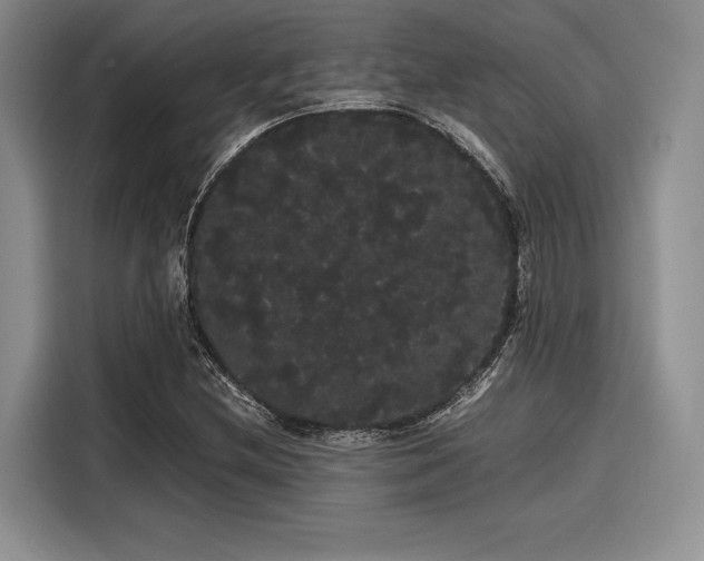 X0000116121212200911301320