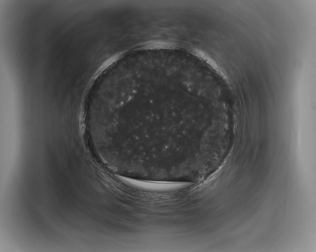 X0000116121213200911301320