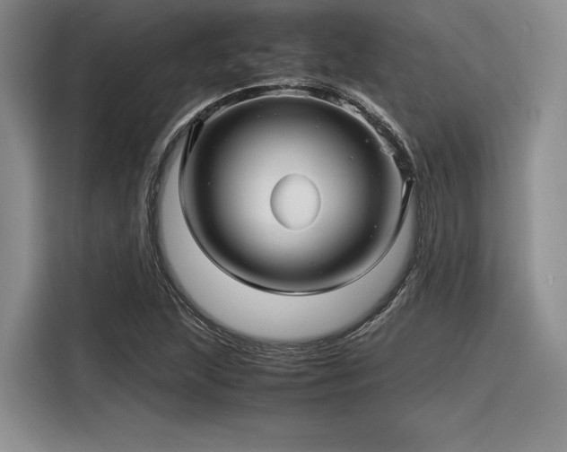 X0000116121215200911301320