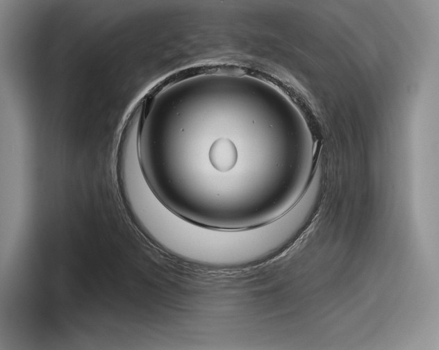 X0000116121216200911301320