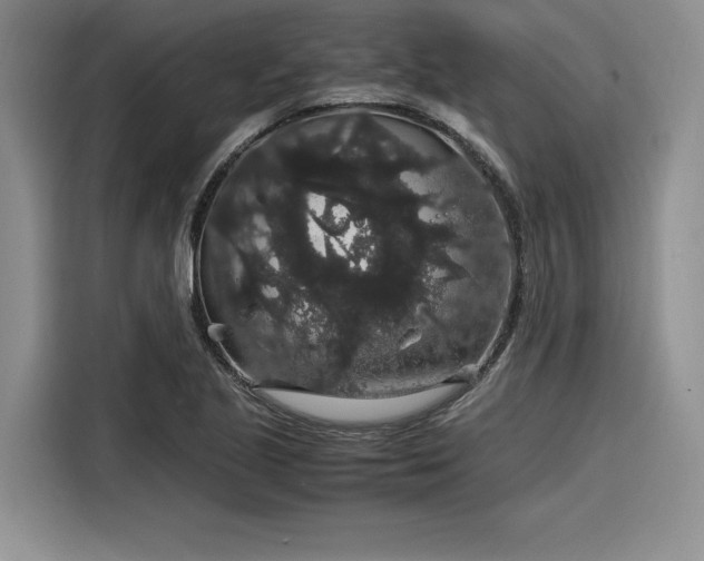 X0000116121221200911301320