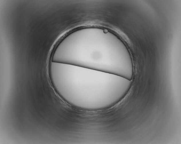 X0000116121224200911301320